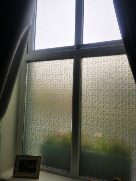 Has anyone used privacy film on windows?