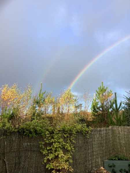 Pamela - Bile Duct Cancer, thread 4, London has given me a chance! 