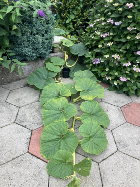 Come and tell me your dull and unexciting news 25: Calmly through the day 