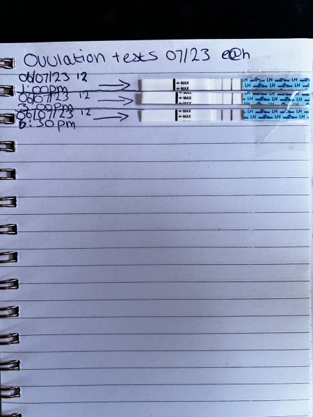 CB ovulation test HELP!! - Empty circle 5am and static smiley 1pm?! 