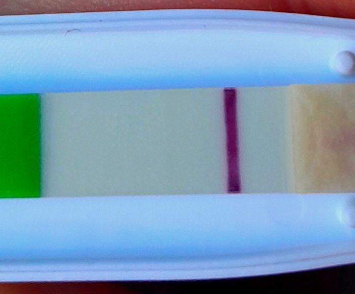 Boots 5 days early tests? Always have an indent? 