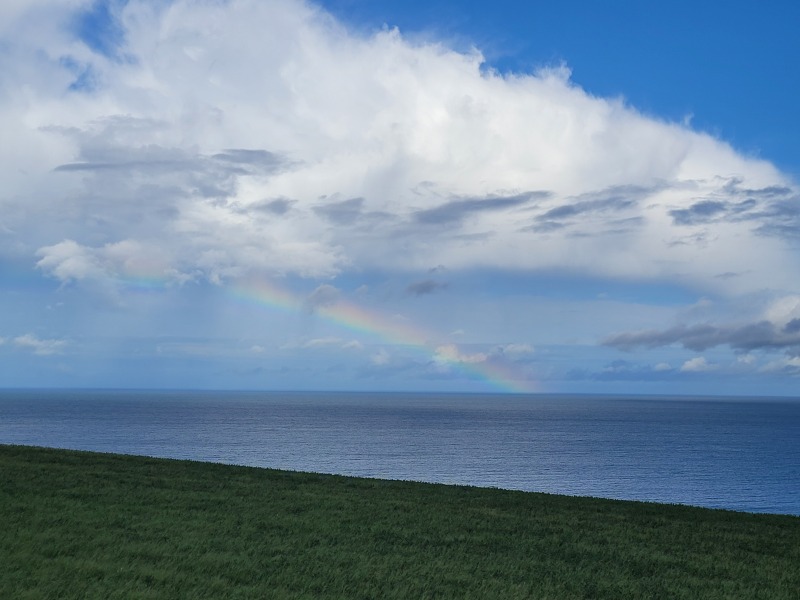 Pamela thread 5 - Bile Duct Cancer, chemo begins