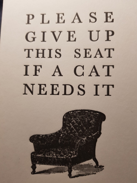 A Very Great Quantity Of Excellent Cats