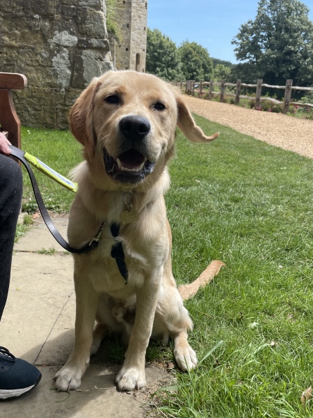 Pamela thread 6 - Bile Duct Cancer, Continued