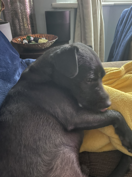 The happy Place Café is still open