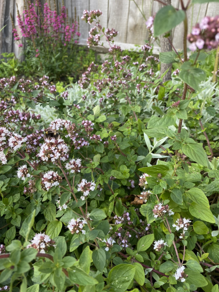 How to make mint bugger off