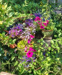 What have you done in the garden today? Part 2