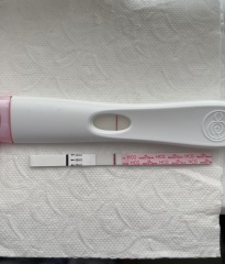 First response rapid result faint line