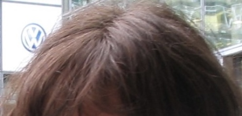 What colour would you say my hair is?