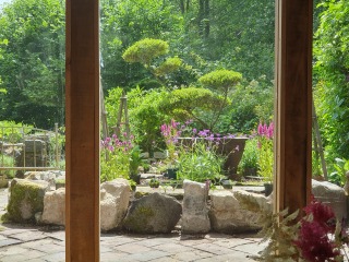What have you done in the garden today? Part 2