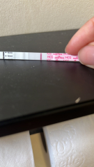 4DPO yet again, are you with me?