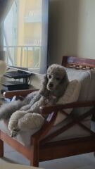 Just a giant (maybe a bit ott) rant about holiday renters