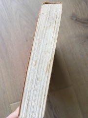 Is this mould?!
