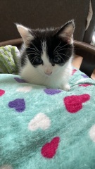 Name suggestions!