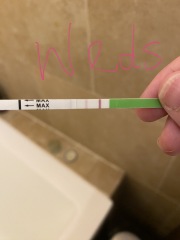 OPK help. Photos attached, any/all help appreciated!