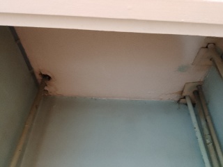 Manky airing cupboard makeover help please. pics