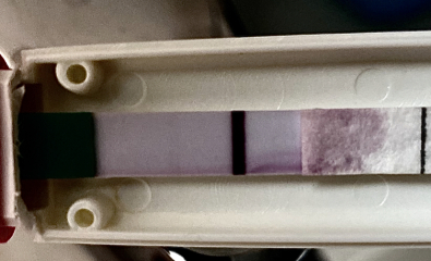 First time ttc. 8dpo faint test. 