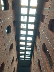 The Saxenda Sisterhood 