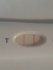 Testing at 8DPO?