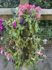 Hanging flower bags anyone?