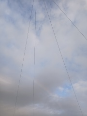 Pamela - Bile Duct Cancer, thread 4, London has given me a chance! 