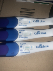 Implantation Bleeding/Positive and Negative tests