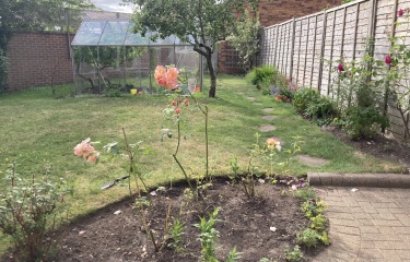 Feeling upset that neighbour cut down all my roses in the garden while on holiday