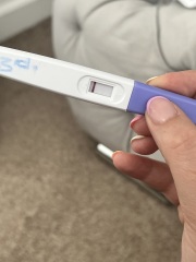 Positive Pregnancy Test?
