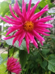 Show Us Your Pictures 6
