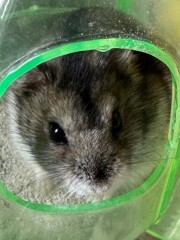 What are your big decisions today?