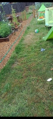 Advice PLEASE on my garden