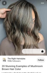 Ashy brown / greyish box dye 