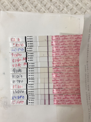 TTC May 2023 💖✨ previous MC March 2023