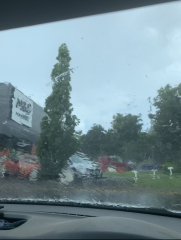 Why is the weather so shit?