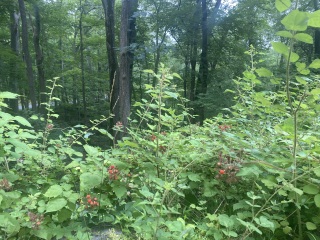 Come and tell me your dull and unexciting news 25: Calmly through the day 