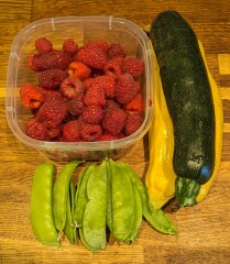 The Vegetable Patch Mark 2
