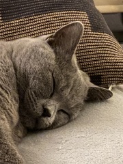 Baking focaccia (and other delicious things)