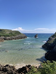 The Saxenda Sisterhood 