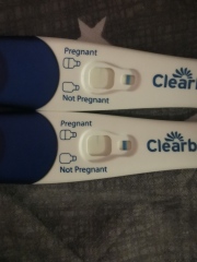 Whats your thoughts? Early positive or Evaporation