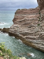 The Saxenda Sisterhood 