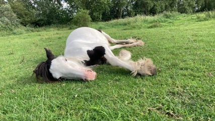 Pamela thread 5 - Bile Duct Cancer, chemo begins