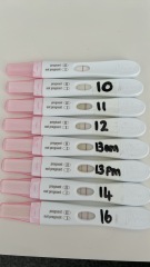 Let’s see everyone’s line progression!☺️