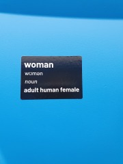 Do you wear any "Rad Fem"-identifying clothes or accessories? 