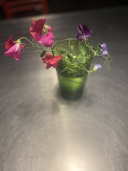 Pamela thread 3 - Bile Duct Cancer, off to London! 