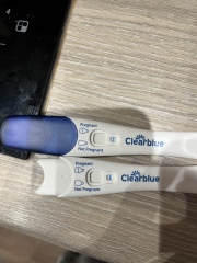 Clear blue test. Evap line or positive
