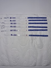 FET/IVF July 2023 - Thread 2