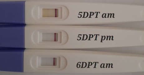 What IVF dose and how many eggs did you get?