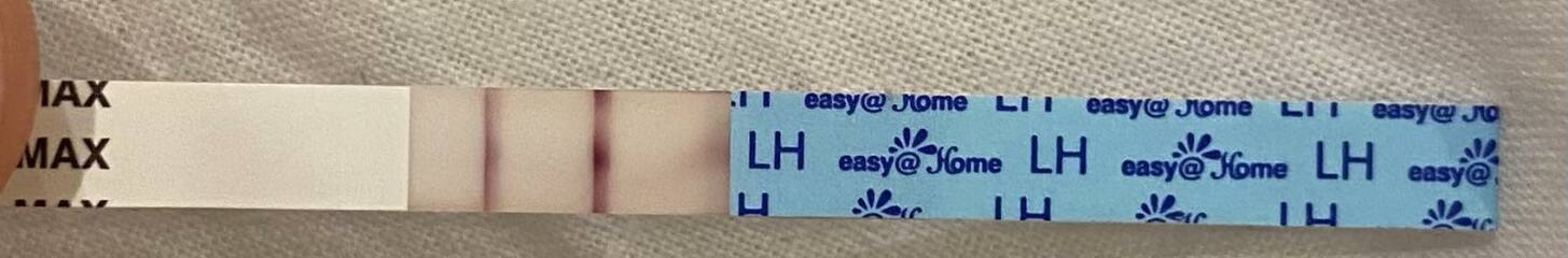 LH test strip