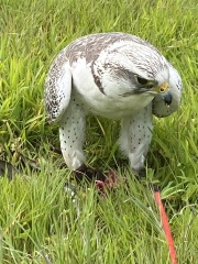 Jumping into July: Frugal Friends Financial Fun