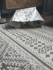 I love my cat too much is this normal 